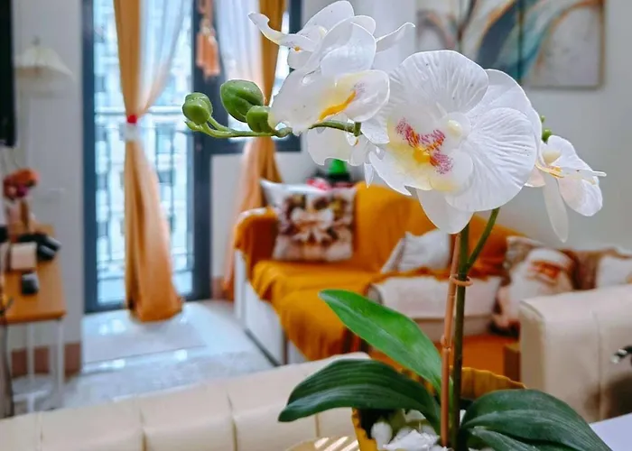 1br Near Moa Balcony & Wi-fi